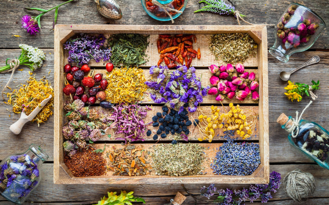 The Complete Guide to Aromatherapy