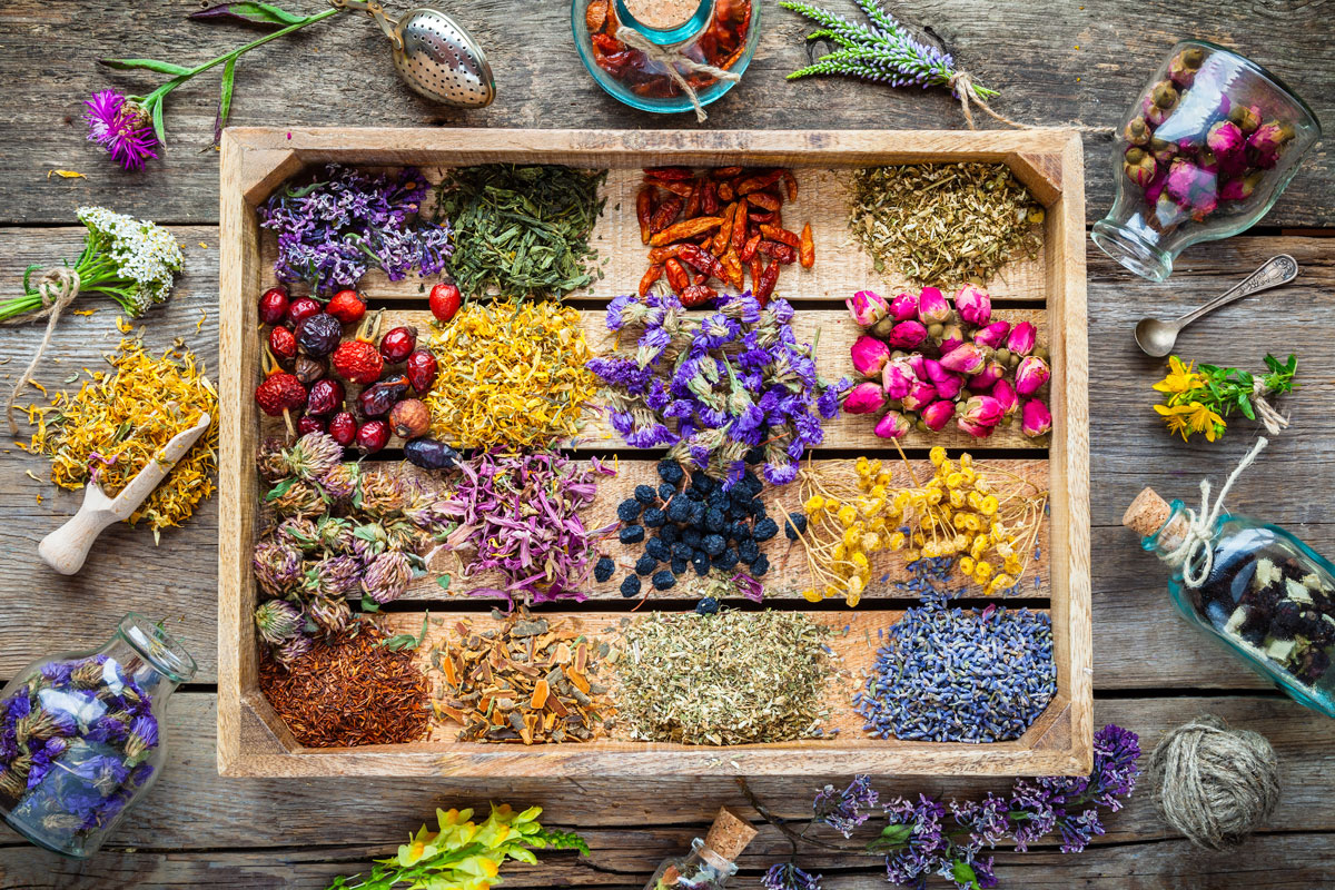 The Complete Guide to Aromatherapy  Essential Oils - What Are They and How To Use Them Image