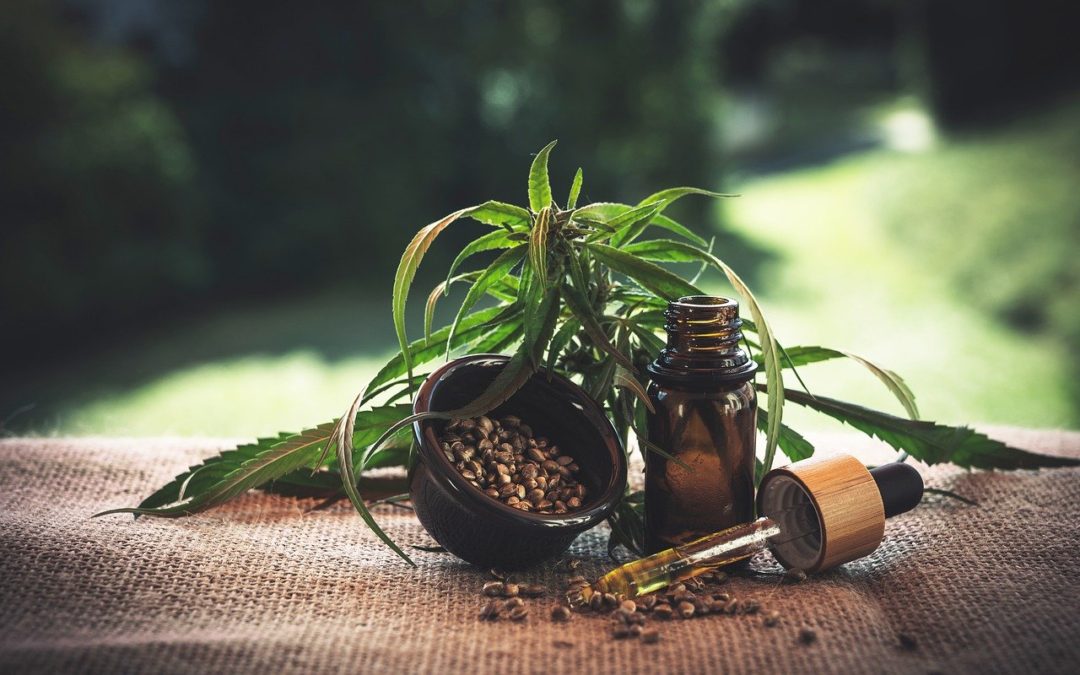 7 Reasons Why CBD Oil Supports Optimal Wellness