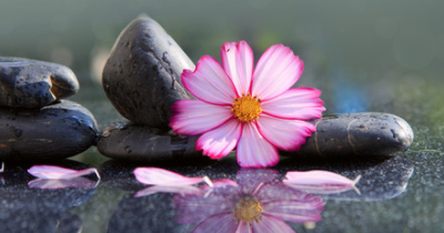 Natural solutions to help people with anxiety, depression and overwhelm