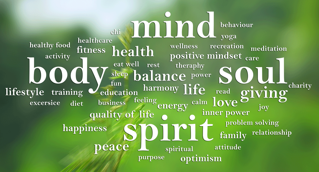 The Pain Free Project Plan