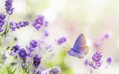How To Relax and Unwind Using Natural Solutions