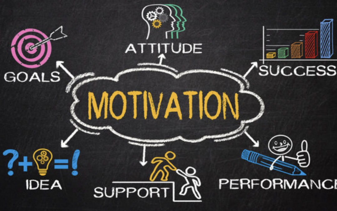 Everything You Ever Wanted to Know About Motivation