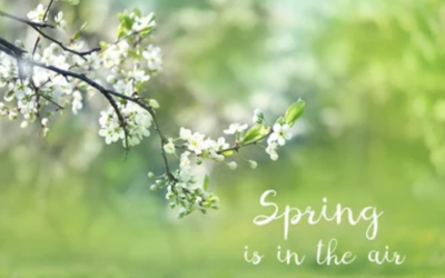 Seasonal Allergies | Causes, Symptoms & Treatment