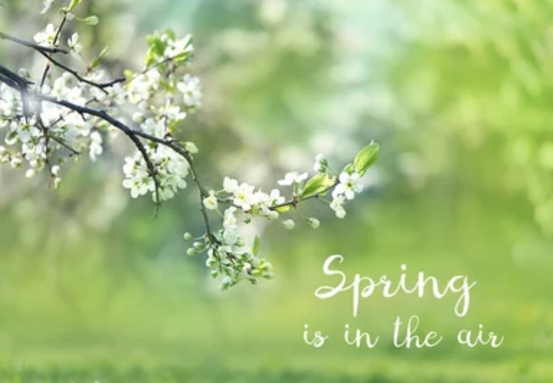 spring is in the air