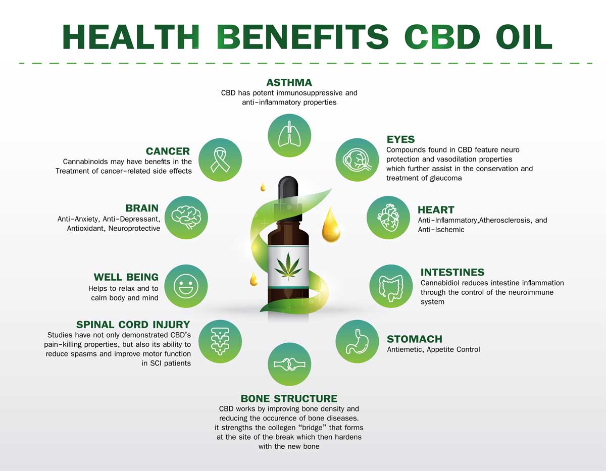 everyday-cbd-solutions-for-people-families-and-pets-blog-post-featured-image