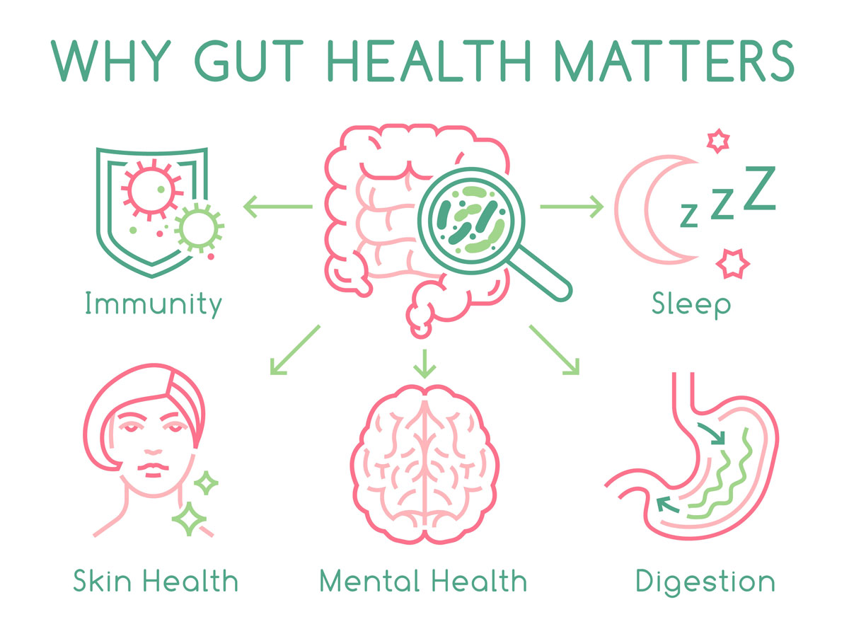 Why-gut-health-matters