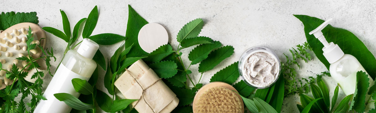 Natural-Skincare-and-Leaves-Featured-Image-for-Blog-Post