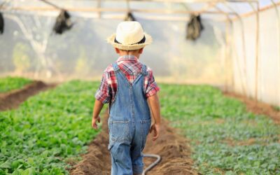Why You Should Put Your Hands in The Dirt for Your Health