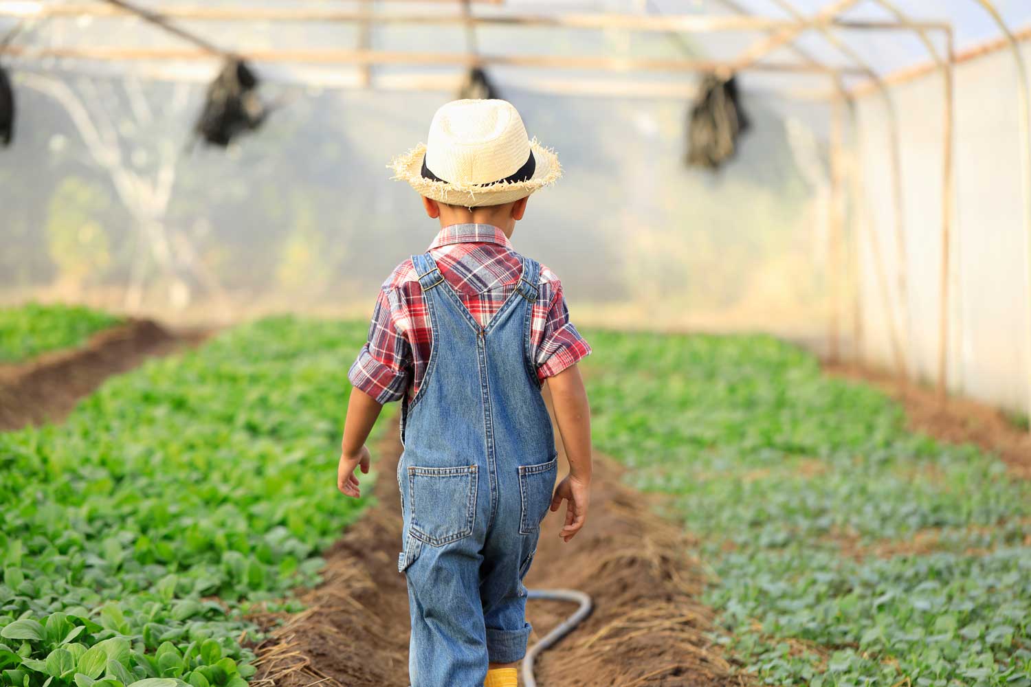 Heres-Why-Putting-Your-Hands-In-The-Dirt-Is-Good-For-Your-Health