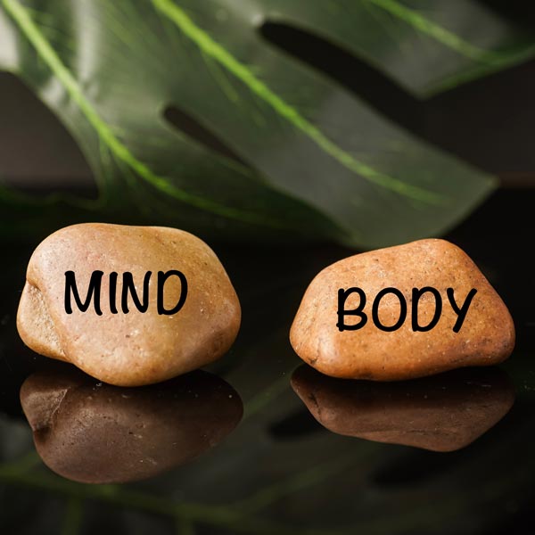 Honoring the Mind Body Connection For Optimal Health and Wellness